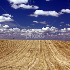 by Luis Reininho - Landscapes Mountains & Hills