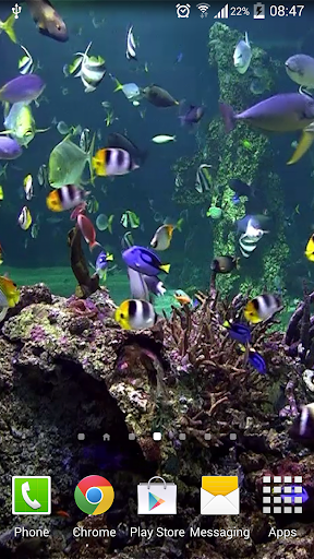 水族館動態桌布