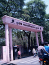 Agriculture College Entrance