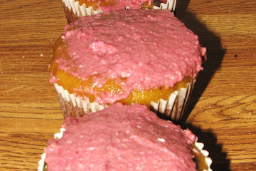 Vanilla Cupcakes-GFCF, Sugar free, GAPS/SCD legal