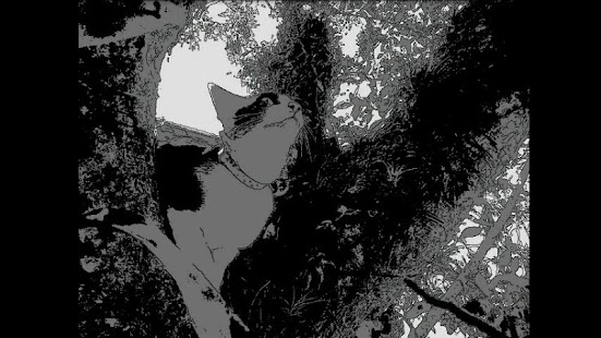 download Hand-Drawn Camera PRO free