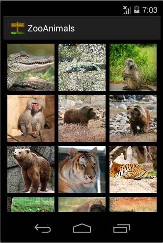 Zoo : Animal Photos Sounds