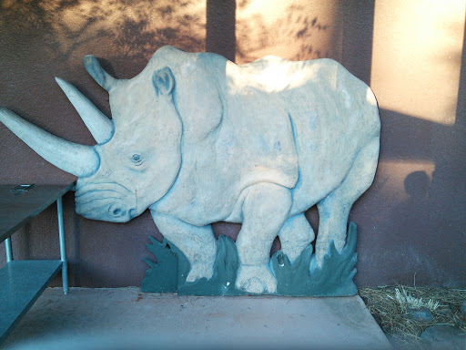 Wall Rhino