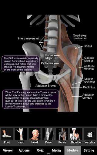 【免費醫療App】Muscle and Bone Anatomy 3D-APP點子