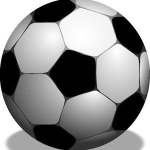 Skoragel - Canlı Maç Sonuçları.apk 1.19