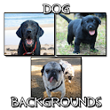 Dog Backgrounds logo