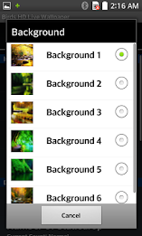Birds HD Live Wallpaper by AppTrends poster 4