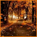 Autumn Season LWP !! logo