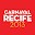 Carnival Recife 2013 - Brazil Download on Windows