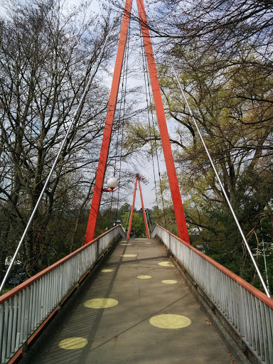 Red Triangle Bridge