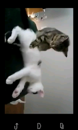 Continuous Playback YouTube poster 10