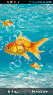 Zlatá rybka Živá Tapeta - náhled