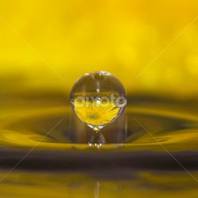 by Dipak Marfatia - Abstract Water Drops & Splashes
