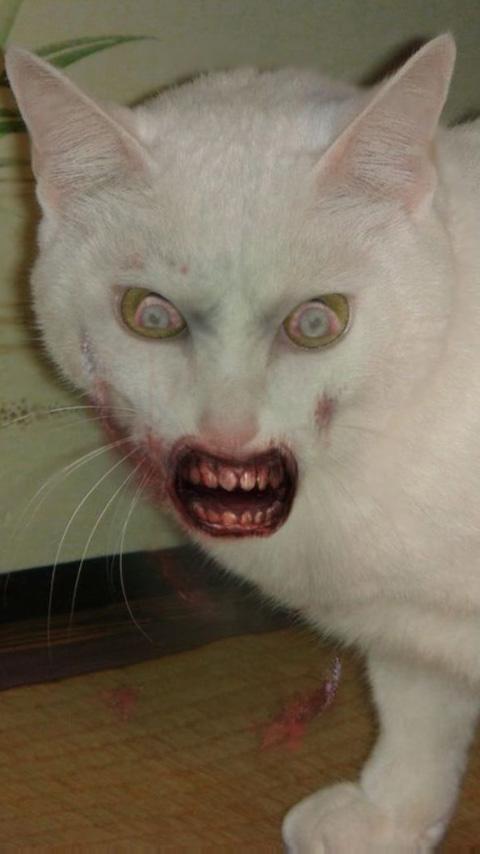 ZombieBooth - screenshot