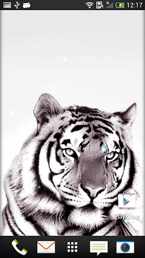 Tigers Live Wallpaper