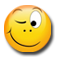 The Stupid Test  –  Demo logo