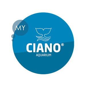 ЦИАН логотип. Ciano. Wrong app