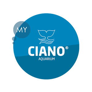 My Ciano.apk 1.5