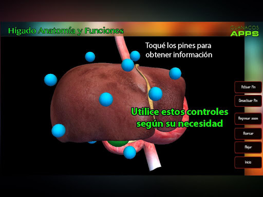 【免費教育App】Hígado Anatomía y Funciones-APP點子