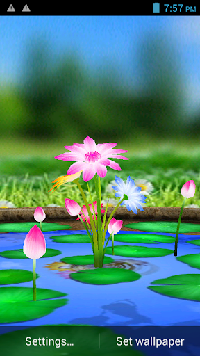 3D Flowers Touch Wallpaper