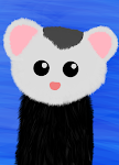 Ferret