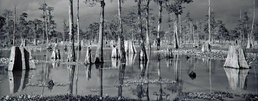 Atchafalaya Basin, Louisiana