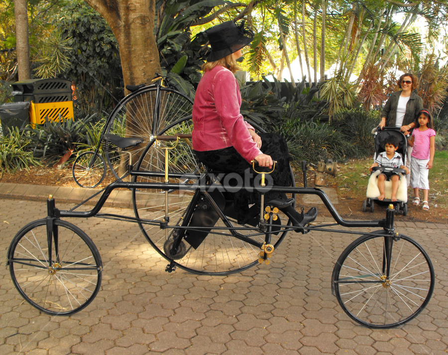 Penny Farthing Trike Bicycles Transportation Pixoto