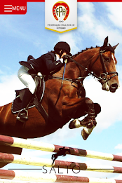 Federação Paulista de Hipismo poster 2