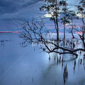 SILENCE by Sim Sherina - Landscapes Waterscapes