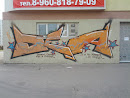 Graffiti DCA
