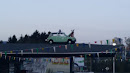 Car on a Roof