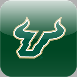 Go Bulls: Premium logo