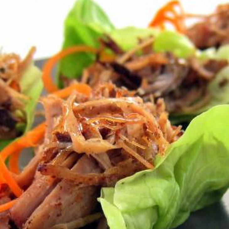 678 New pulled pork recipe pressure cooker 76 pressure cooker pulled pork recipe carnitas from hip pressure cooking   