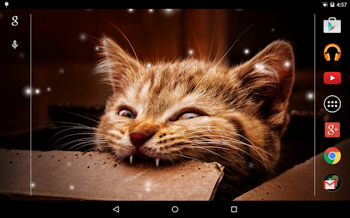 Angry Cat Live Wallpaper Screenshots 0
