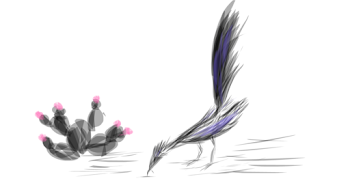 Roadrunner 