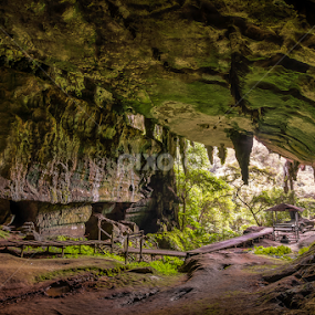 Niah Cave Boardwalk by Zac Robinson - Landscapes Caves & Formations