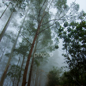 Morning Blues by Udit Chaudhury - Landscapes Mountains & Hills