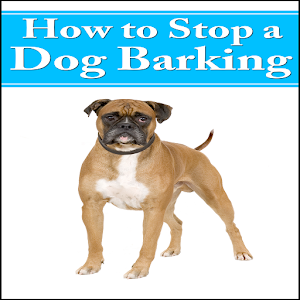 How To Stop Dog Barking 1.0