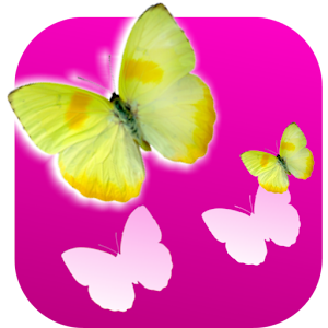 Butterflies Memory Game 1.0