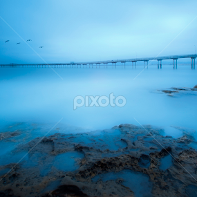 Somber Morning at Ocean Beach Pier by Scott Taft - Landscapes Waterscapes