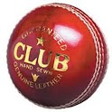 Cricket Mania logo