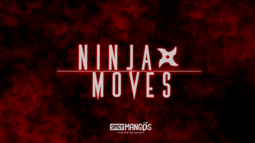 닌자 인 액션 - Ninja Moves