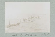 Vier zwemmende mannen