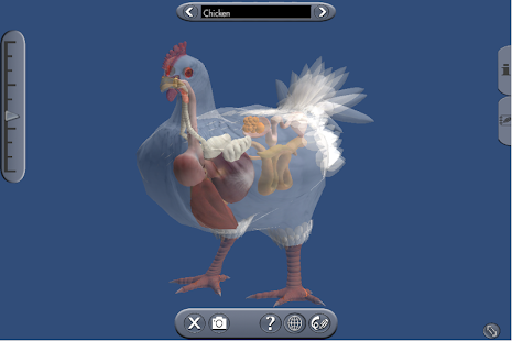 How to download Biology 3 1.7.0 apk for pc