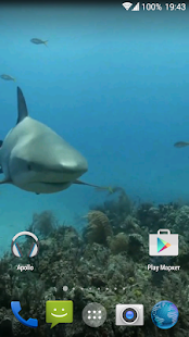 How to download Sharks. Video Wallpaper 1.02 apk for pc