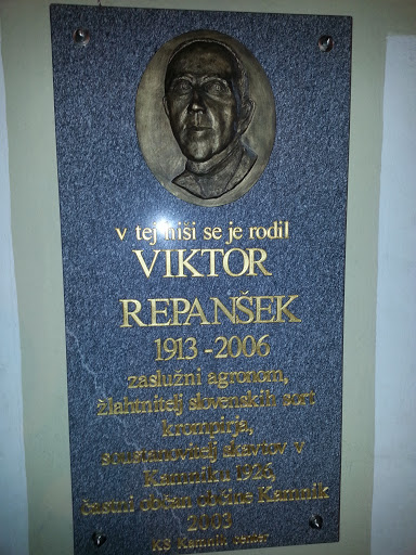 Kamnik Birth House of Viktor Repanšek