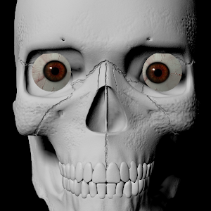 StareDCat Skele logo