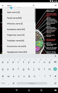 IMAIOS e-Anatomy