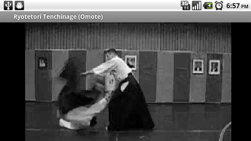 Aikido Kyu Review Screen 2