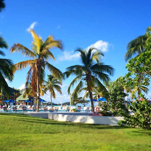 Jolly Beach Resort